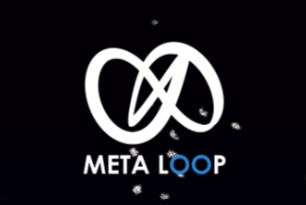 — CEO, Metaloop Token ($4.5M MC)